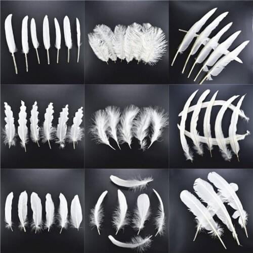 20pcs/lot 13 kinds white Rooster feathers 8-30cm pheasant chicken pluma DIY turkey for jewelry making plumes wedding decoration