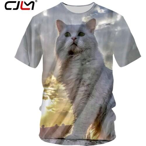CJLM Man New Creative Sunset Background T shirt 3D Prined Summer Sky Cat Lovely 5XL Mens Animal O Neck Tshirt