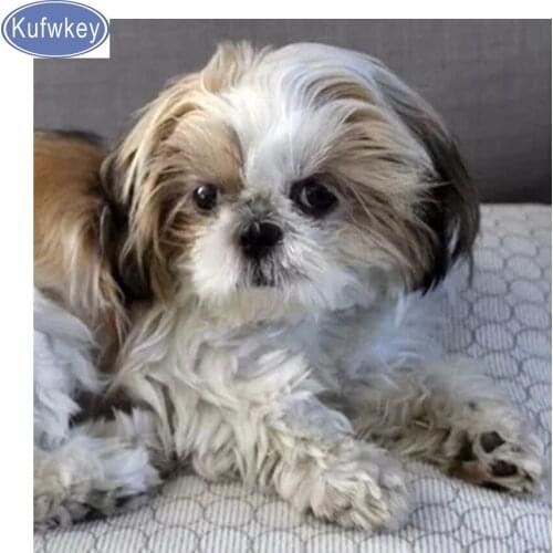 Diamond painting full drill kufwkey Diamond Embroidery Shih Tzu picutes,square Rhinestone,Mosaic diamond,Cross Stitch kits,dog