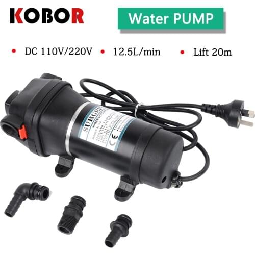 Fl-32 Fl-33 Lift 20m 35psi 110v/220v Ac Plug Household Large Flow Automatic Pressure Switch Mini Electric Diaphragm Water Pump