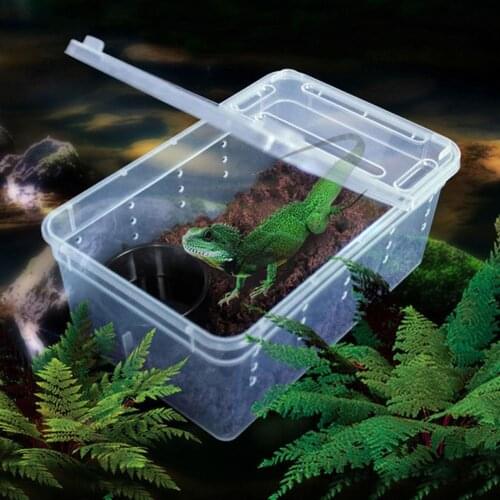 Transparent Feeding Box Reptile Box Amphibian for Snake Cage Lizard Spider Reptile Combination