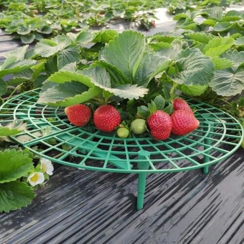 Strawberry Planter 30*30CM Plastic Planting Rack Balcony Fruit Support Plant Flower Climbing Vine Pillar Gardening Frame Holder