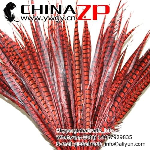 CHINAZP Factory 50pcs/lot 36~40inch(90~100cm) Length Exporting Good Quality Dyed Red Lady Amherst Pheasant Tail Feathers