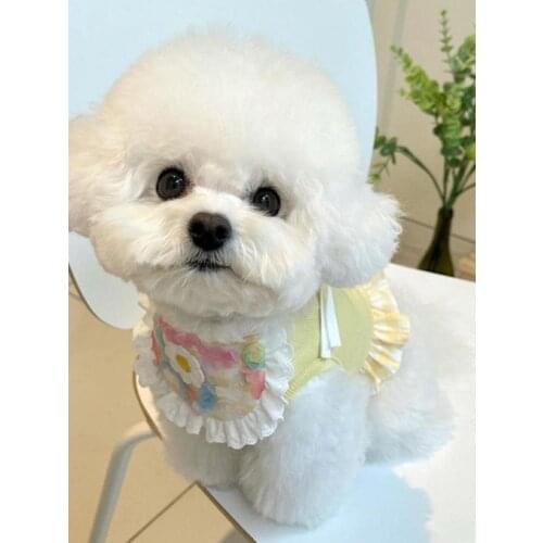 Cute Dog Cat Flower Lace Bib Pet Saliva Towel Bichon Hiromi Bib Cat Pet Turban Blue New