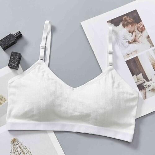 Sexy Cotton Bra Women Push Up Lingerie Seamless Bras Padded Bralette Wire Free Brassiere Underwear Intimates Underwear
