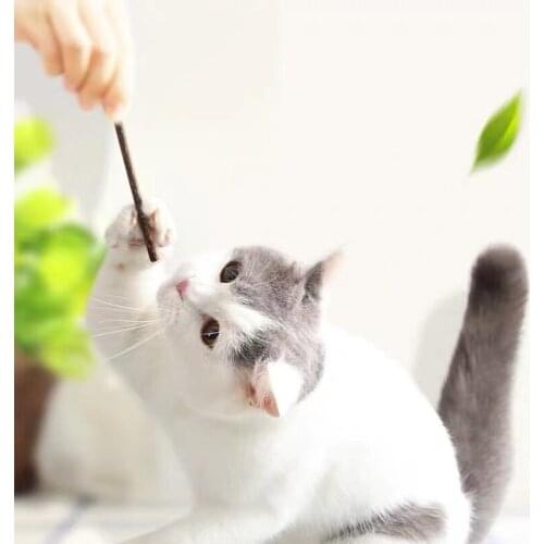 15pcs Natural Fruit Matatabi Cat Snacks Sticks Catnip Pet Cat Molar Rod Cat tooth grinding stick