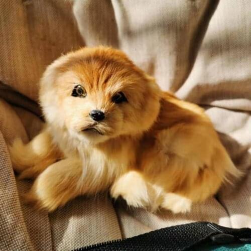 1pcs/21*13*13cm,Real Fur cute Dog,High Simulation Dog for Home Garden Decoration Accessories,Easter Children Toy,Photo Props