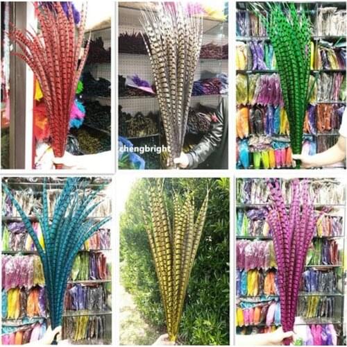 10pcs 28-32 inche/70-80cm natural Lady Amherst Pheasant Feather pheasant feathers for carnival party costumes cosplay decoration