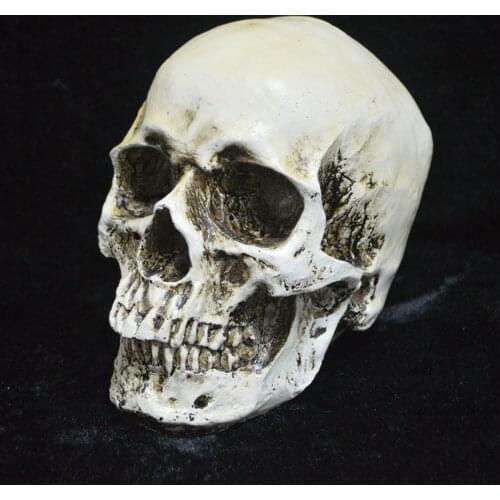 Resin Artware Halloween Skull Shaped Figurine Ornament Decorative Statue for Home Shops