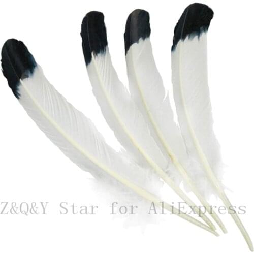 10-20 natural 25-30CM (10-12 inches) turkey nest forest dyed white stained black head feather DIY jewelry craft feather