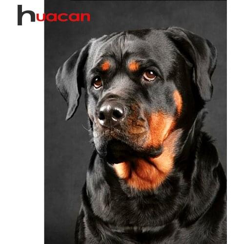 Huacan 5d Diamond Painting New Arrivals Dog Diamond Mosaic Diamond Embroidery Animal Square/Round Picture Rhinestones Craft Kit