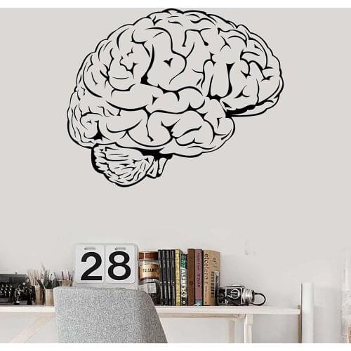 Brain Mind Anatomy Intellect Science Medicine Doctor Vinyl Wall Decal Home Decor Art Mural Wall Stickers Removable
