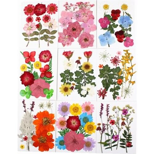 1 Pack Natural Dried Flowers For Nail Art Pressed Flowers DIY UV Epoxy Resin Filling Jewelry Decoration