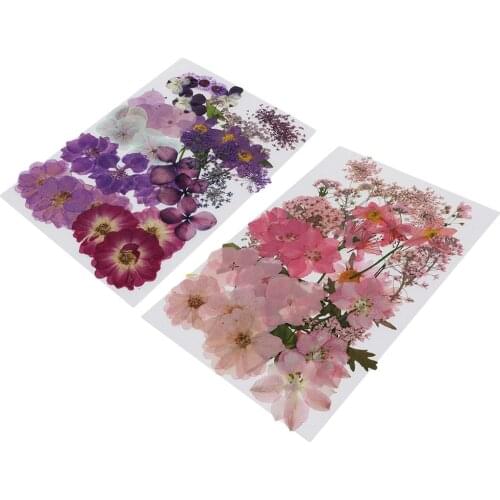 75pc Mixed Pressed Dried Flowers Dry Leaves for DIY Crafts Bookmark Cards Making