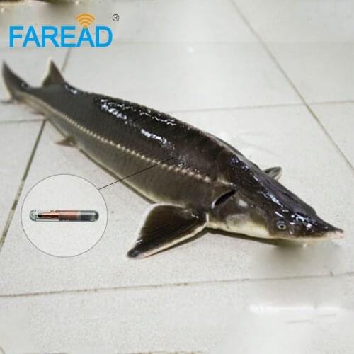Free shipping x10pcs T5577 RFID injectable Microchip 2.12*12mm RFID microchip tag FDX-A Fecava fish tracking microchip