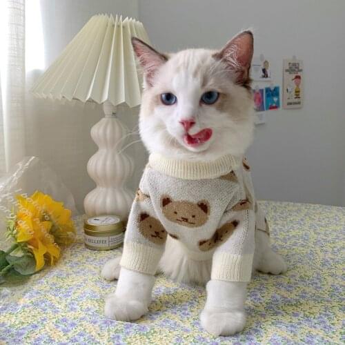 New Year Autumn Winter Autumn Sweater Warm Cat Clothes Kitten Clothes Cute Cartoon Costume