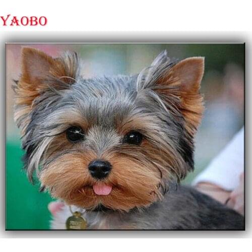 5D Diy diamond painting cross stitch Welsh Corgi Dog diamond embroidery animal mosaic pictures of rhinestones decoration