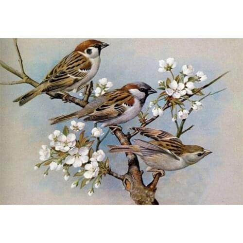 Diamond painting sparrow cross stitch animal diamond mosaic embroidery pear flower full rhinestone living room decoration Crafts