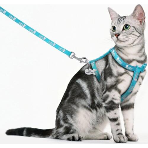 Personalized Cat Kitten Harness Nylon Cat Tag Harness and Leash Anti-Lost Free Engraved Fish Tag Name Phone Number