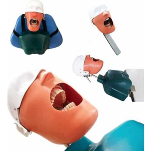 Dental oral teaching system tooth model replaceable tooth belt shoulder body with rope-bound head model