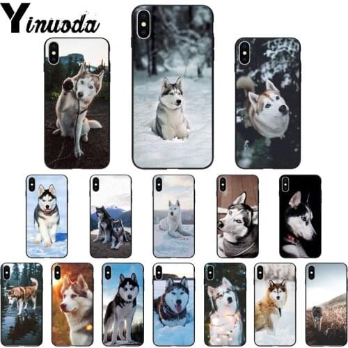Yinuoda Funny animal dog husky TPU Soft High Quality Phone Case for iPhone 5 5Sx 6 7 7plus 8 8Plus X XS MAX XR 11 11pro max