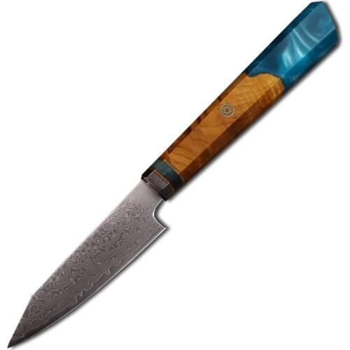 67 Layer Damascus Steel Resin + White Shadow Wood Handle New Fruit Bread Fish Meat Kitchen Knife Chef Kit