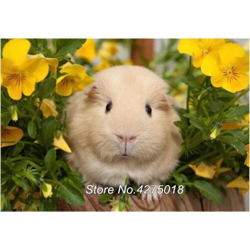 3D Diamond embroidery diy diamond Painting Guinea Pig And Flower 5D Cross Stitch Rhinestone Mosaic Full square round drill YG642