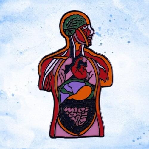 Human Torso Organs and Brain Anatomical Model enamel pin Medical Anatomy Educational brooch