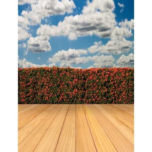 Life Magic Box background photography sky fondos fotografia photography backdrop S-1968