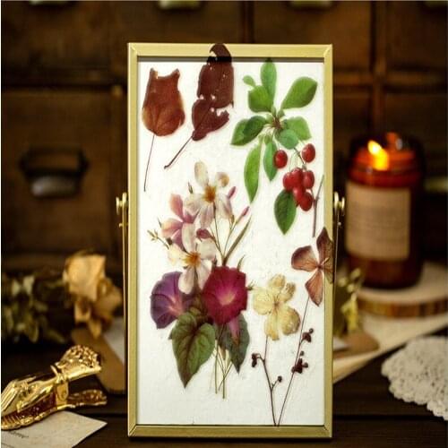 10sheets/pack Plant Specimen Stickers PET Material Flowers Leaves Plants Scrapbooking DIY Diary Album Stick Label Creative