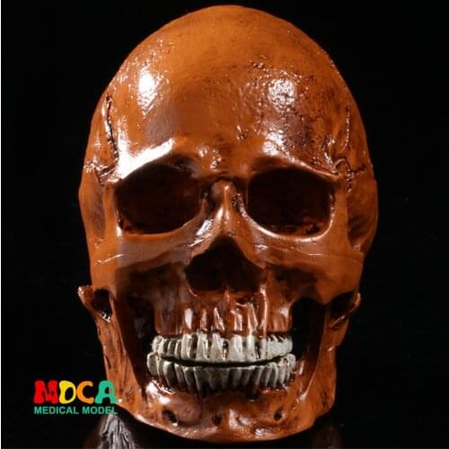 Resin skull Halloween gifts personal ornaments home accessories GXGT001