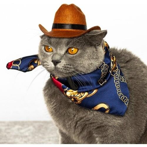 Funny Pet Hat For Dog Cat Western Cowboy Hat Photo Prop Universal Dog Cap For Street Party Halloween Christmas Pet Accessories P