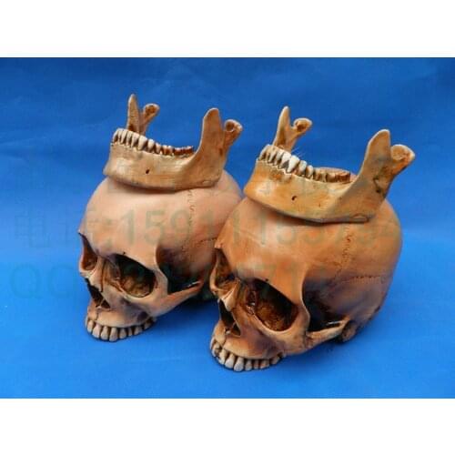 Free shipping life size skull model 4 different color The model of skull model crafts resin skull decoration