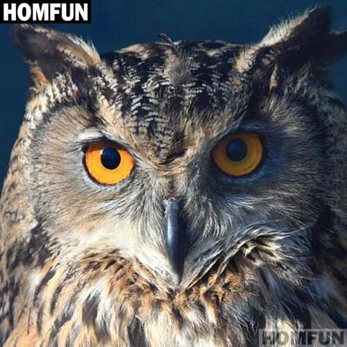 HOMFUN Full Square/Round Drill 5D DIY Diamond Painting "Animal owl" 3D Embroidery Cross Stitch 5D Home Decor A01626