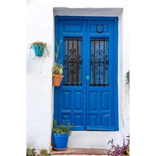 Blue Wooden Door Potted Photo Backdrop Vinyl Cloth Fond Background for Portrait Children Baby Pets Photobooth Photography Props