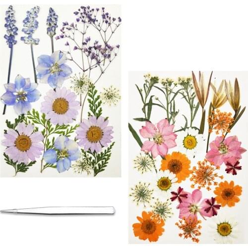 42PCS Dried Pressed Flowers Combination Combination with Tweezers for DIY Phone Case Resin Jewelry Crafts Nail Stickers