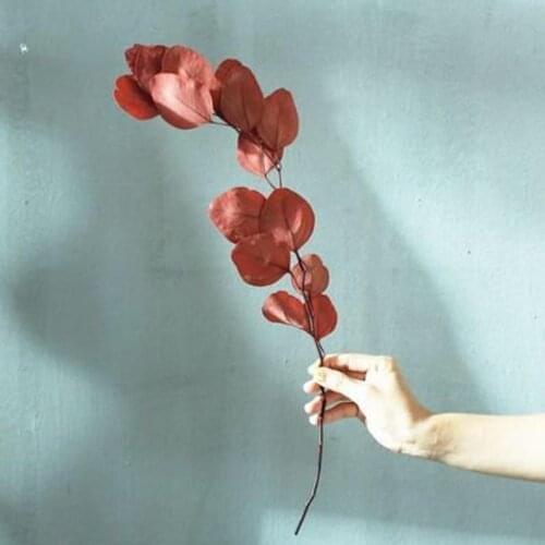 Dried flower bouquet, vase filler, natural home decor, dried flowers, rustic flower bouquets,Dry eucalyptus leaves