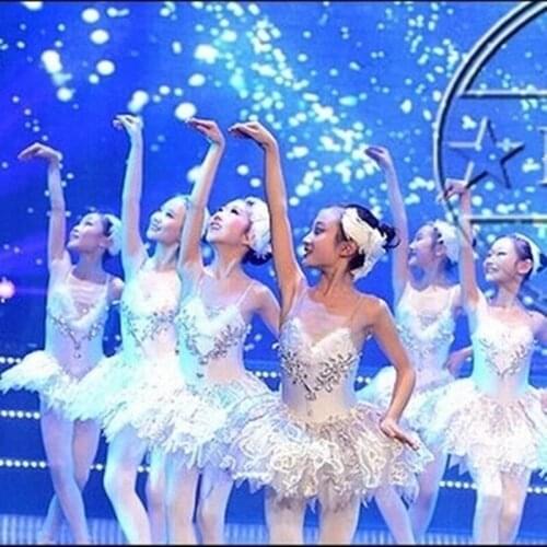 Children Ballet Girls Latin Dance Tutu Costumes Tutu Dance Dress Little Swan Performance Costume