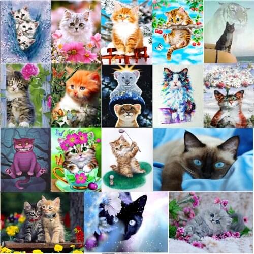 5D diamond painting animal cute cat round diamond embroidery cross stitch mosaic home decoration pattern DIY handmade gift