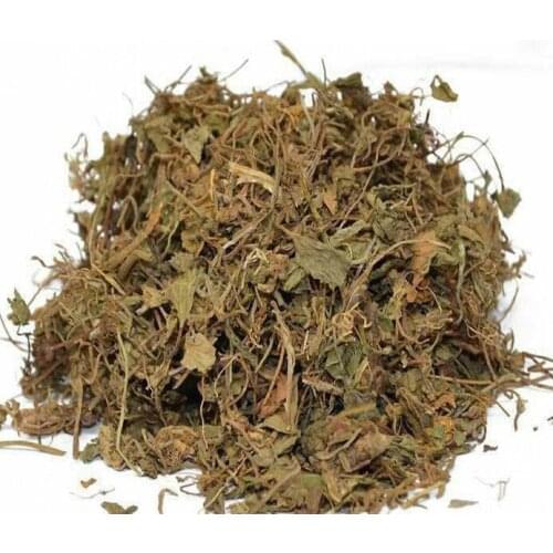 Asiatic Pennywort Herb JiXueCao Hydrocotyle Centella Asiatica