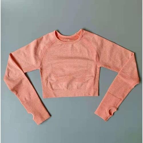 Crop Top Female Sports Yoga Shirts Long Sleeves Gym Workout T-Shirts Fitness Sports Wear For Women Gym Tops Clothing Sportswear