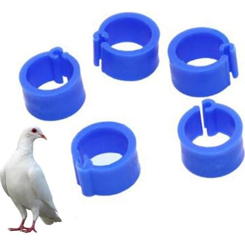 100Pcs Birds Leg Clips Harmless Extensible Plastic Color 8mm Pigeon Foot Ring for Pet Bird Supplies