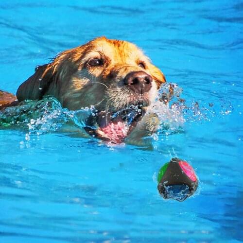 Summer Water Floating Swimming Pet Bathing Water Spray For Large Dogs Puppy Spray Dog Interactive Toy Dog Accessories