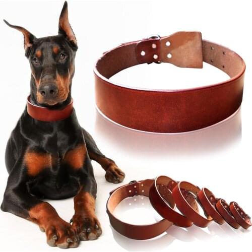 Top Quality Plain Cowhide Genuine Leather Pet Dog Collars Heavy Duty Deep Brown Size XS S M L XL XXL