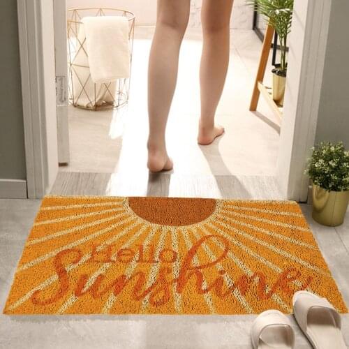 TENSKE Entrance Carpets For Home