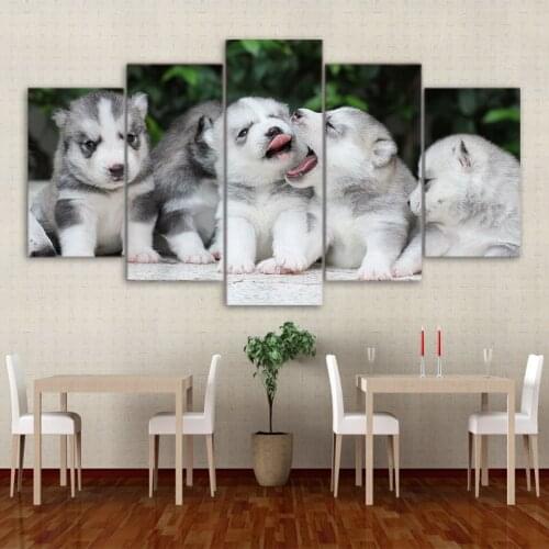5d diy Diamond embroidery Baby Husky dog 5pcs diamond painting Cross Stitch full square Rhinestone mosaic kits home decoration