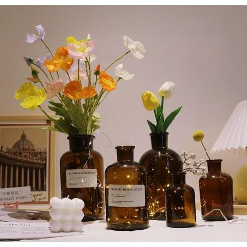 European Simple Glass Vase Flower Vase Dried Flower Plant Hydroponic Terrarium Container Tabletop Ornaments Living Room Decor