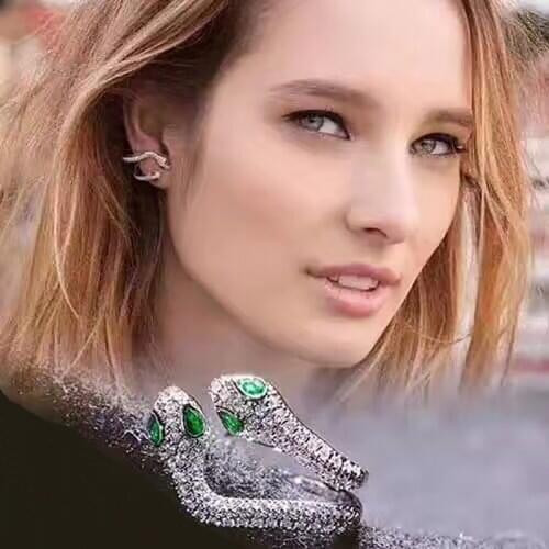 Vintage Snake Vintage Earrings Gold Color With Tiny AAA+ CZ Stone Earrings Stylish Gift For Lovers Clip Earrings Aretes AE345