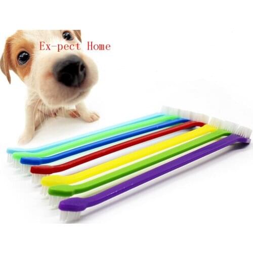 Quevinal 500pcs/lot Fast Shipping Wholesale Duel head Pet Tooth brush Dog Cat Dental Grooming Toothbrush Cleaning brush