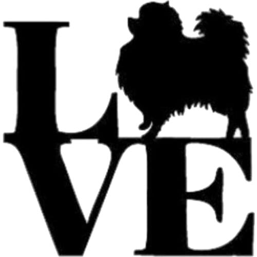 13.5cm*13.9cm Creative Personality Fashion LOVE Pomeranian Car Sticker C5-1638